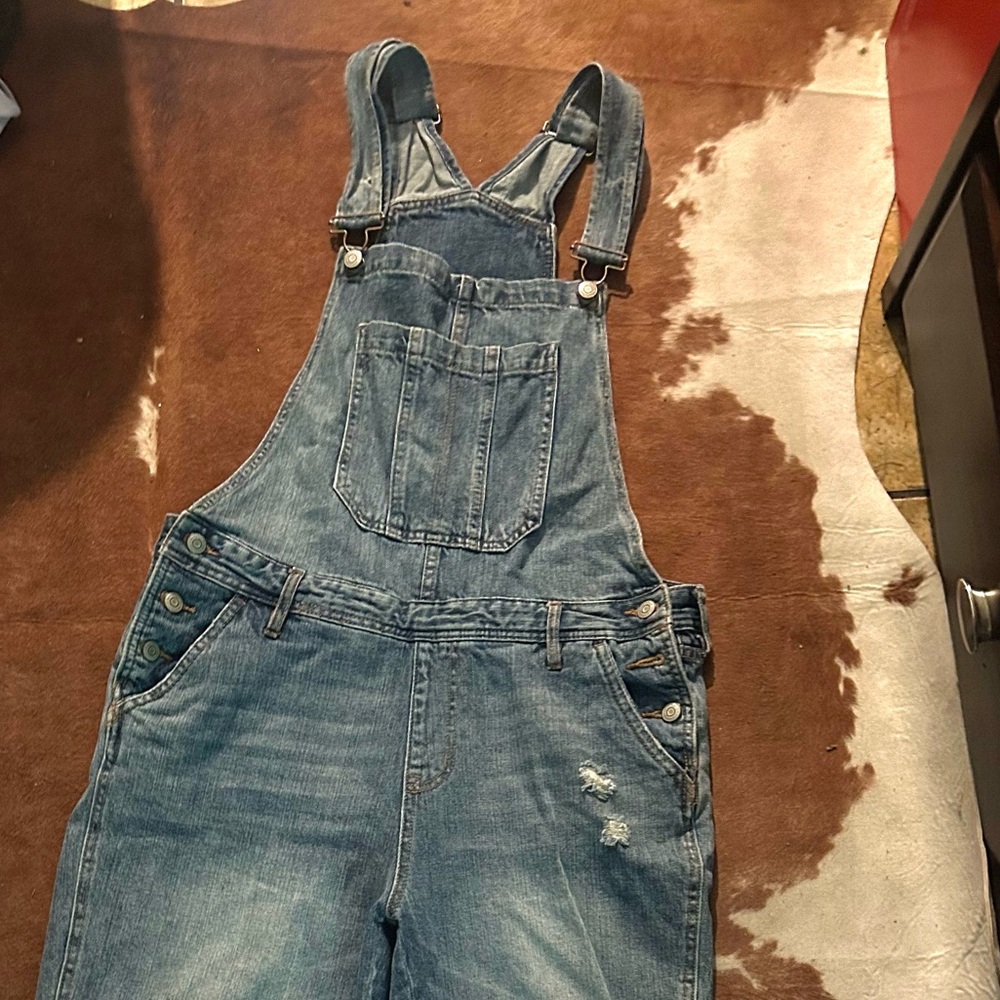 Distressed Denim Overalls